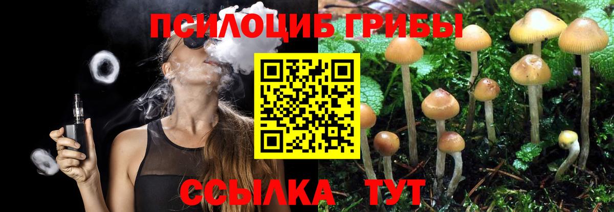 Галлюциногенные грибы Psilocybe  Псилоцибиновые грибы Magic Shrooms  Вход с VPN  цены   Тулун 