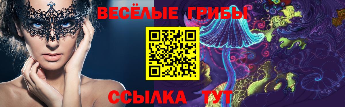Галлюциногенные грибы Psilocybe Тулун