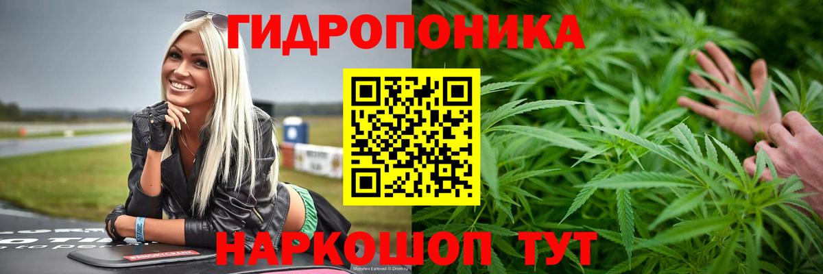 Тулун  Марихуана LSD WEED  Каннабис семена  Вход с VPN  Бошки Шишки тримм  Канабис ГИДРОПОН 
